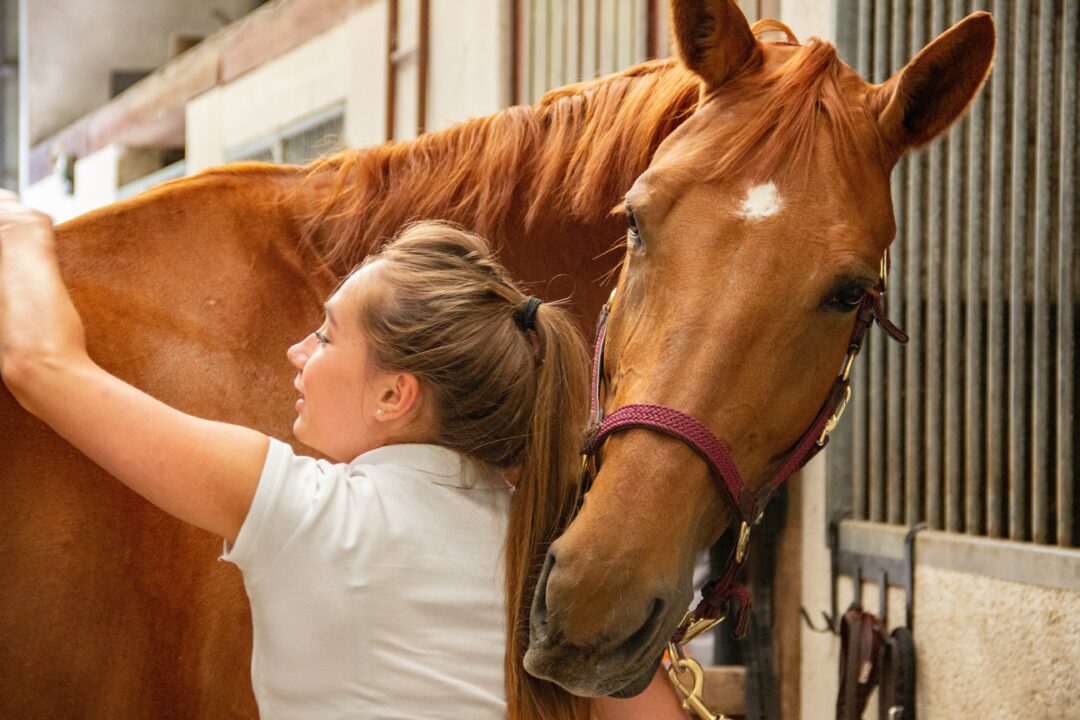 How Equine Therapy Can Help Build Trust in Addiction Recovery