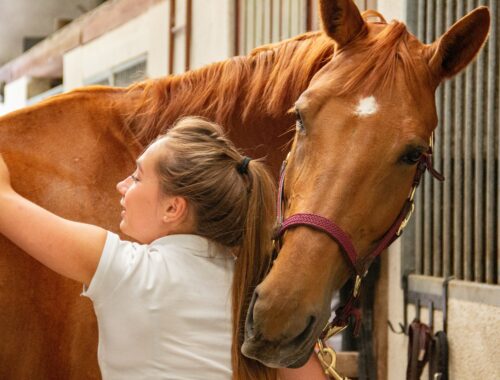How Equine Therapy Can Help Build Trust in Addiction Recovery