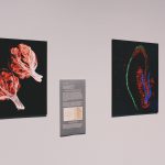 Effects of Drugs and Alcohol on the Brain