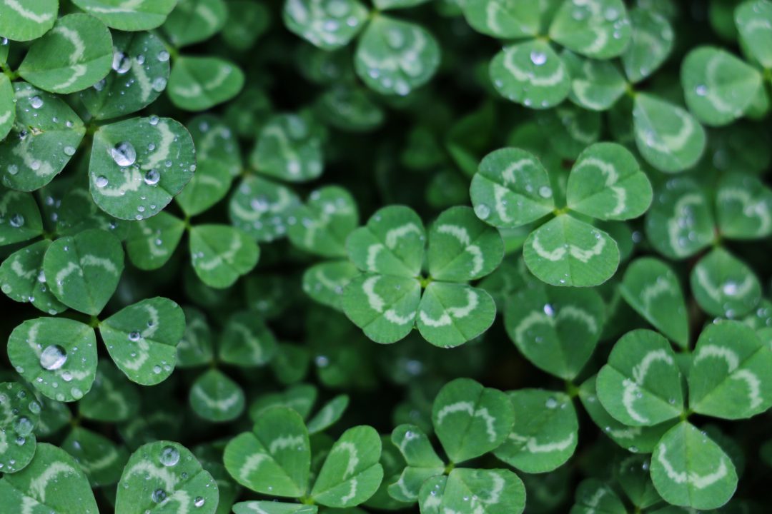 7 Tips for Staying Sober on St. Patrick's Day