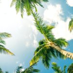 What is California Sober and Why Is it Dangerous